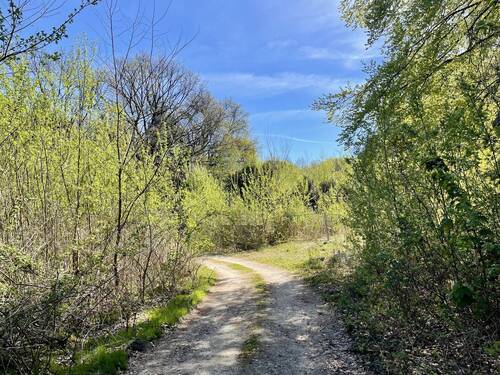 Kein Altbestand - Grundstück in Rosengarten