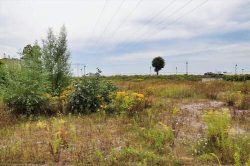 Grundstück - Grundstück in Bad Freienwalde zum Kaufen