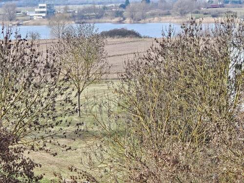 Blick zum Hufeisensee - 