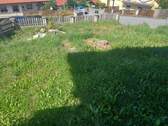 Garten.- Parkfläche - 