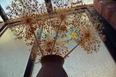 Wintergarten - 