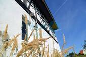 Fassade - Einfamilienhaus mit 171,20 m² in Haselbach zum Kaufen