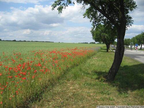 Seeburger Landschaften - 