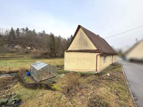 Seitenansicht / Gewächshaus - 