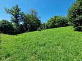 grundstück.jpg - Sonniges Baugrundstück in Seenähe!