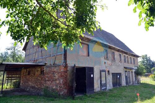 Seitansicht mit Carport - Historisches Bauernhaus mit Ausbaupotenzial auf idyllischem Grundstück