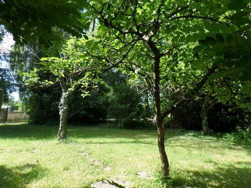 Gartenansicht - 