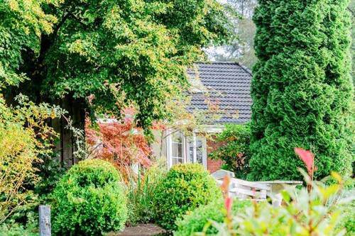 Hinteransicht - 