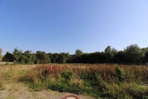 IMG_2601 - Baugrundstück mit Südausrichtung in Butjadingen-Eckwarden