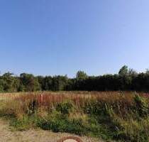 Baugrundstück mit Südausrichtung in Butjadingen-Eckwarden - Butjadingen / Eckwarden Stollhamm