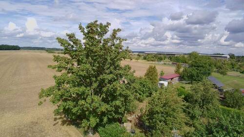Ausblick - 