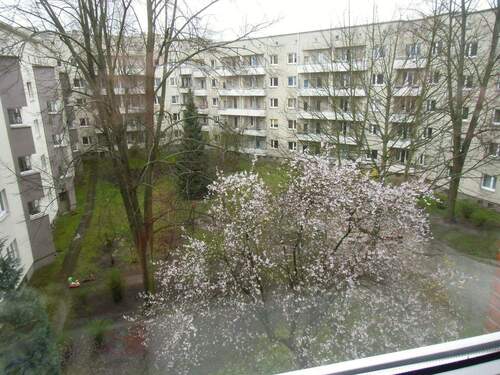 Innenhof - Sonnige 2 Zimmer mit Balkon in Barmbek-Süd - frei und ohne Maklercourtage
