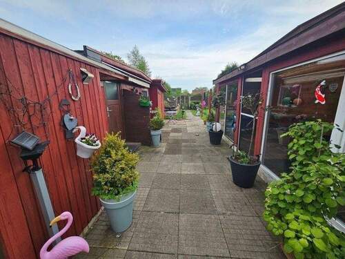 20250502_172118 (800x600).jpg - 