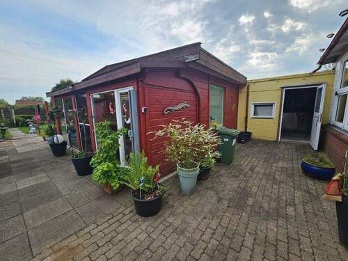 20250502_172011 (800x600).jpg - 