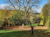 Grundstück und Obstbäume - Grundstück in Würzburg zum Kaufen