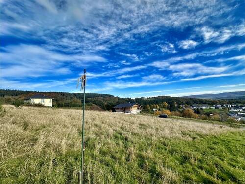 Außenansicht - Grundstück zum Kaufen in Horath
