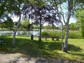 Blick auf den Dorfteich! - 