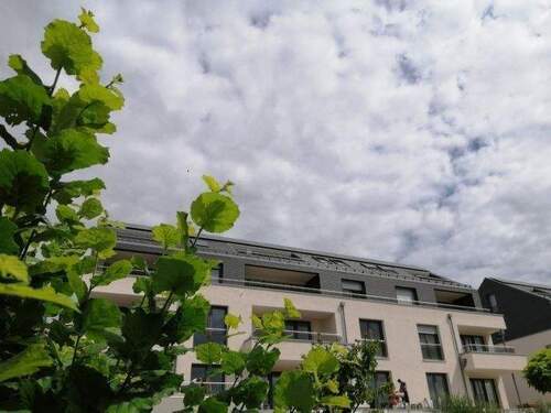 Bild 26 - Modern Wohnen in Guxhagen - 1.440,00 EUR Kaltmiete, ca.  132,00 m² Wohnfläche