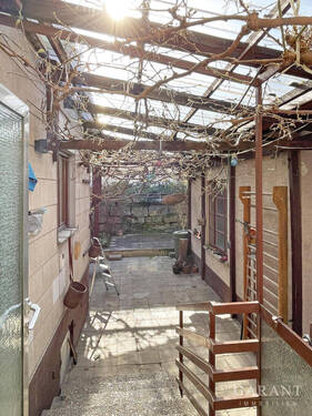 Terrasse mit Kiwibaum - 