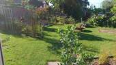 Bild 8 - 