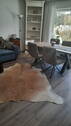 Bild 8 - 