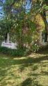 Bild 21 - 