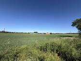 Blick vom Garten - 