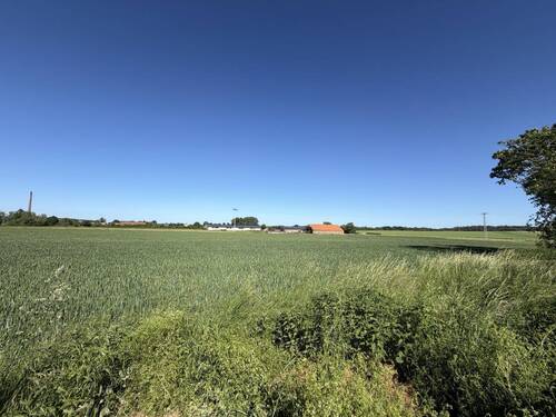 Blick vom Garten - 