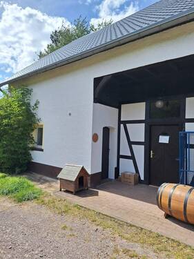 IMG-20240704-WA0040.jpg - 