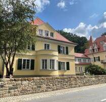 Traumhafte 2-Raum Wohnung sucht Nachmieter mit Terrasse und EBK - Dresden Hosterwitz/Pillnitz