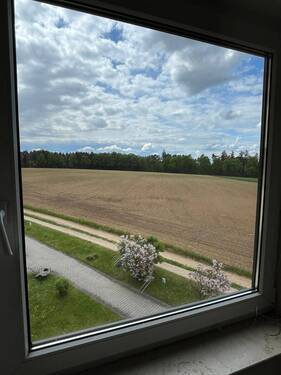 Ausblick.jpg - 
