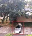 Bild 15 - 