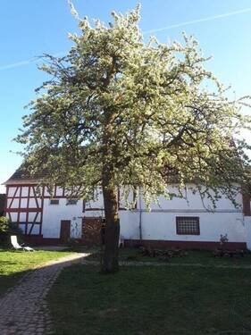 Bild4.jpg - Bauernhaus, Landhaus in Wächtersbach