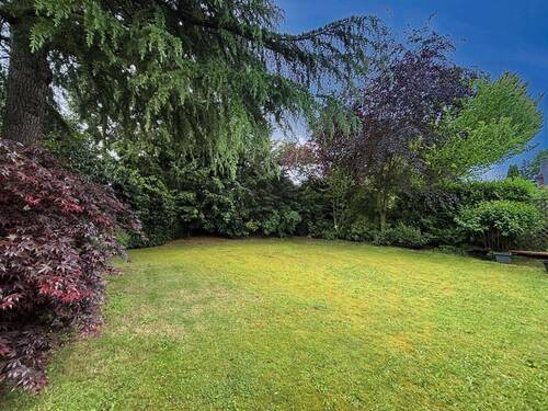 Blick in den Garten - 