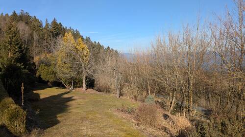 Garten Teil 2 - 