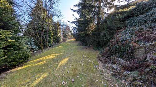 Garten Teil 3 - 