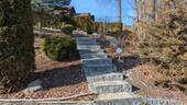 Garten Teil 8 - 