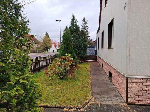 20250331_101857.jpg - 