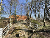 Bild10 - 