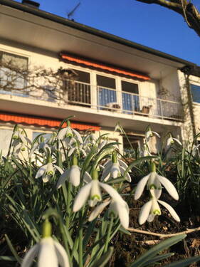 Blick aus Garten auf Balkon - 