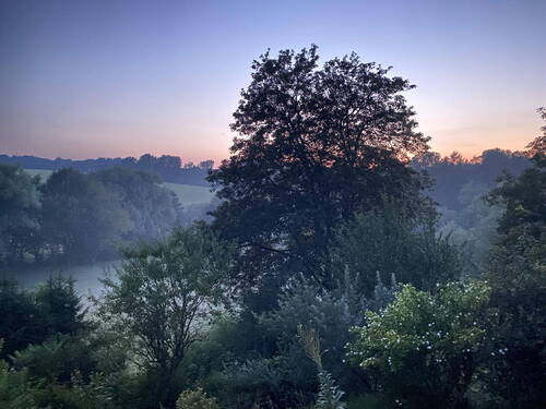 Nebel - 