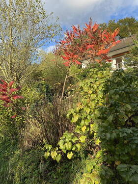Blick aus dem Garten aufs Haus - Einfamilienhaus mit 220,00 m² in Heiligenhaus zum Kaufen