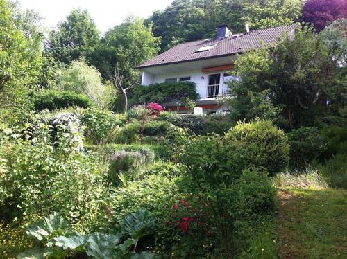 Blick aus dem Garten - 
