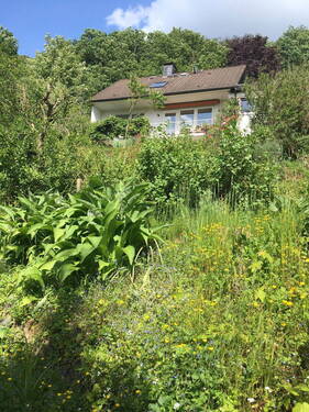 Blick aus Garten aufs Haus - 