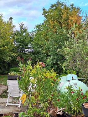 IMG-20250911-WA0019.jpg - 