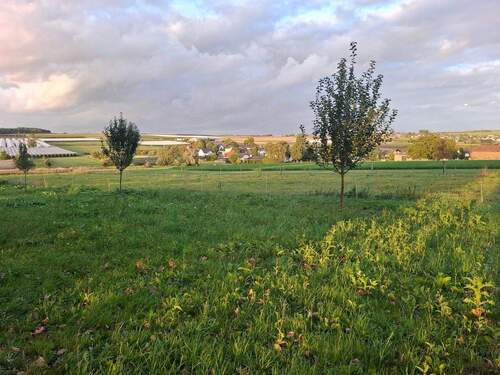 20250916_190352.jpg - 