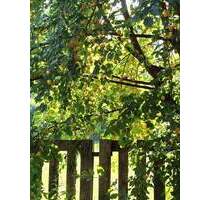 Kinder und Tiere willkommen! Großes Haus mit viel Platz und vielen Möglichkeiten! - Grafschaft Ringen