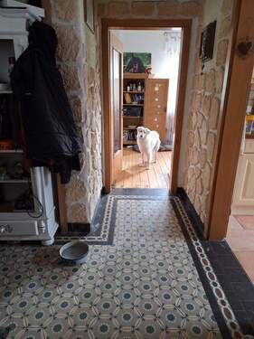 IMG-20250911-WA0013.jpg - 