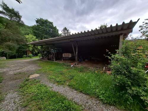 20250607_125130.jpg - 