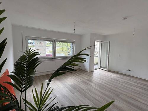 PHOTO-2025-09-12-12-53-46 12.jpg - 